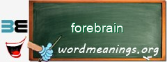 WordMeaning blackboard for forebrain